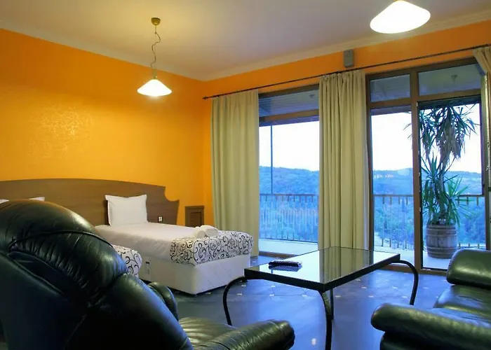 Guest house Art House Veliko Tarnovo